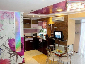 Nebesnoy sotni apartmens studio CENTER